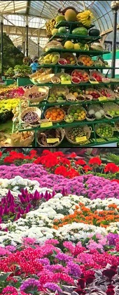 Bengaluru Lalbagh