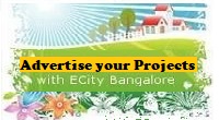 Electronic City Real Estate
